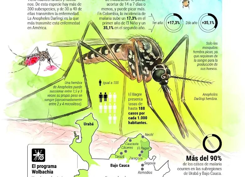 Cuidado: los mosquitos están al acecho y El Niño podría empeorar el panorama en Antioquia