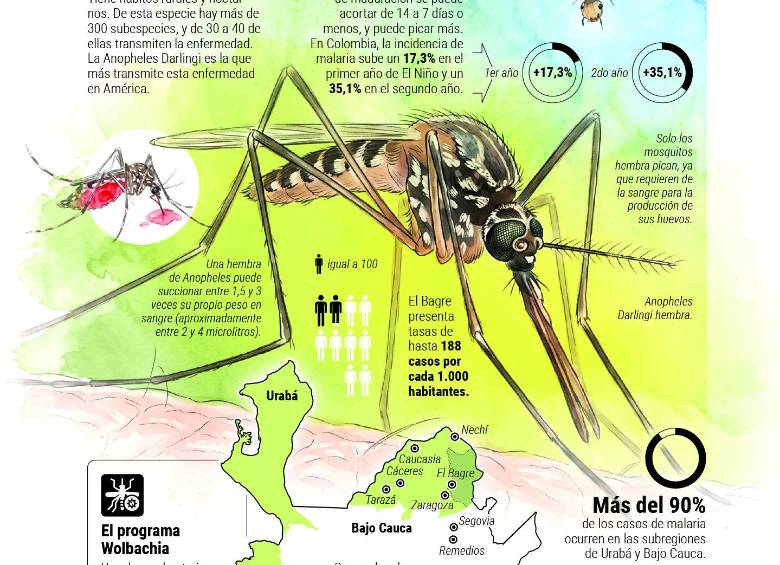 Cuidado: los mosquitos están al acecho y El Niño podría empeorar el panorama en Antioquia