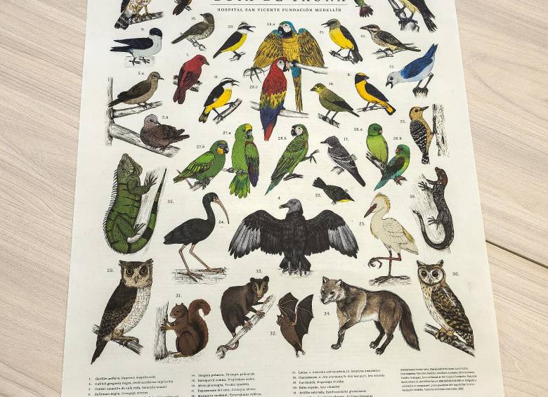 En el marco del Día Mundial del Medio Ambiente, el Hospital decidió visibilizar esa riqueza natural con el lanzamiento de una guía ilustrada de fauna. FOTO: Hospital San Vicente Fundación.