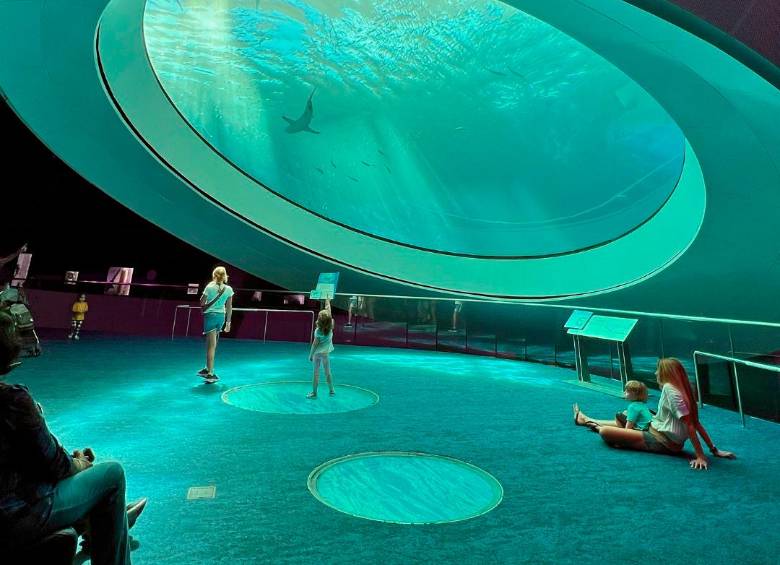 Así se ve Miami a través de sus diversos museos