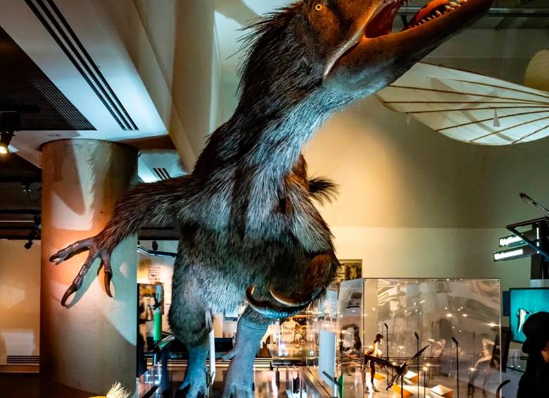 Un dinosaurio gigante en el Phillip and Patricia Frost Museum. Todas las fotos cortesía GMCVB.