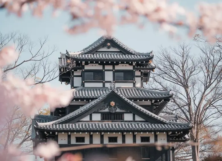 Parque Sitio del Castillo Takada, Niigata. el hogar de alrededor de 4.000 cerezos que forran sus fosos interiores y exteriores. Foto: Japan Endless Discovery / @mark.matsuoka