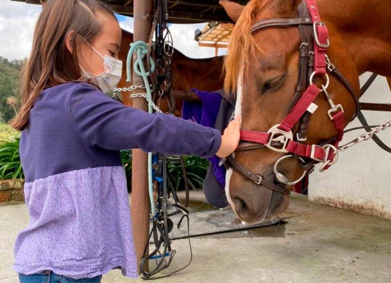 En Equus se puede tener contacto con los caballos, animales a los que se les atribuyen beneficios terapéuticos. FOTO CORTESÍA