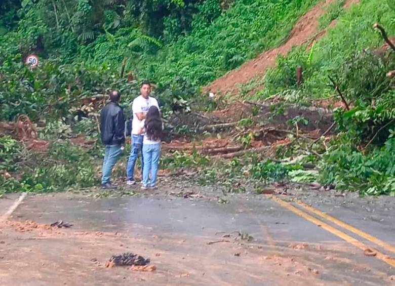 En el sector El Santuario - Caño Alegre es frecuente que se presenten deslizamientos que obligan a cerrar la vía. FOTO CORTESÍA
