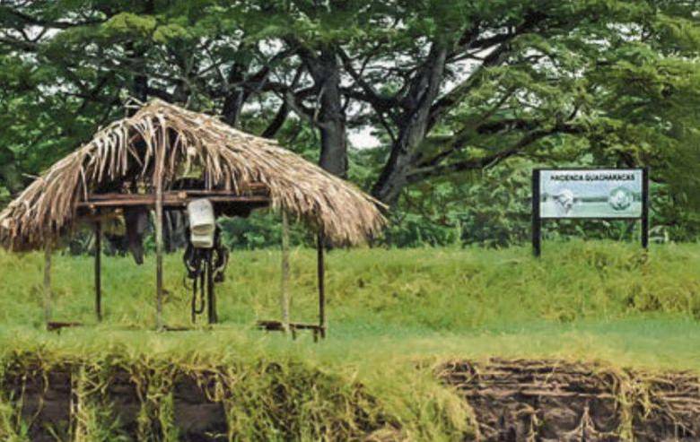 Hacienda Guacharacas. Foto: captura de pantalla.