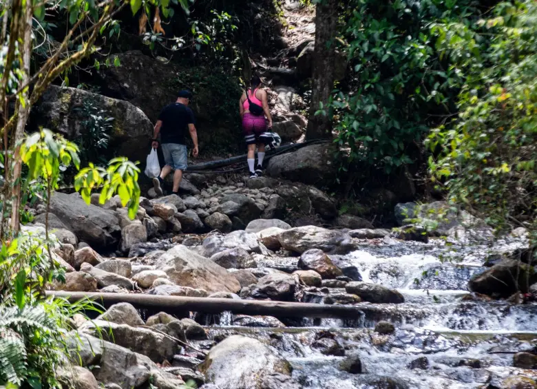 El Salado e sun referente de turismo de naturaleza del municipio de Envigado. FOTO: Julio Herrera.