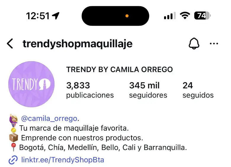 Perfil de Instagram