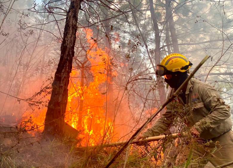 Fueron cuatro días en el que los bomberos tuvieron que sofocar las llamas en el cerro Quitasol la semana pasada. FOTO: CORTESÍA DAGRAN