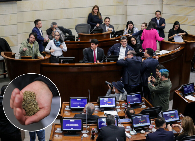 La reforma constitucional que buscaba regularizar el comercio de cannabis en Colombia se hundió por segunda vez este año en la plenaria del Senado. No le alcanzaron los votos para avanzar. FOTO COLPRENSA