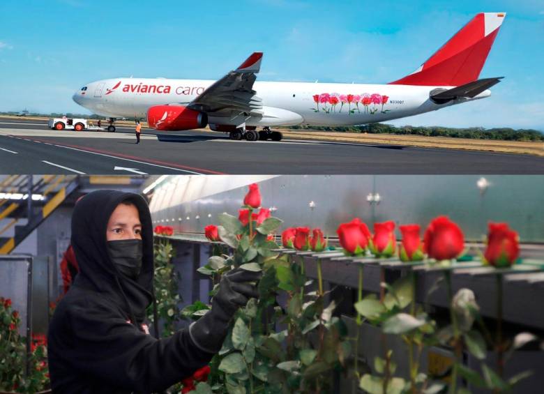 Avianca y Latam destacaron el transporte de flores desde Colombia por San Valentín 2024. FOTOS AVIANCA Y LATAM