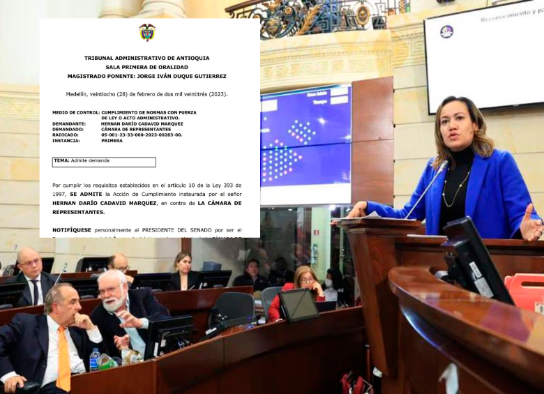 Con este recurso se busca frenar el trámite de la reforma a la salud como una ley ordinaria para determinar en la bancada del Congreso si es una ley estatutaria. FOTO CORTESÍA Y MINSALUD