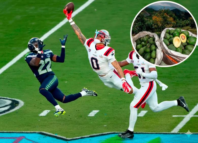 El aguacate Hass colombiano no brilló en el Super Bowl 2026. Este año 95 de cada 100 aguacates consumidos fueron mexicanos. FOTO GETTY COLPRENSA. 