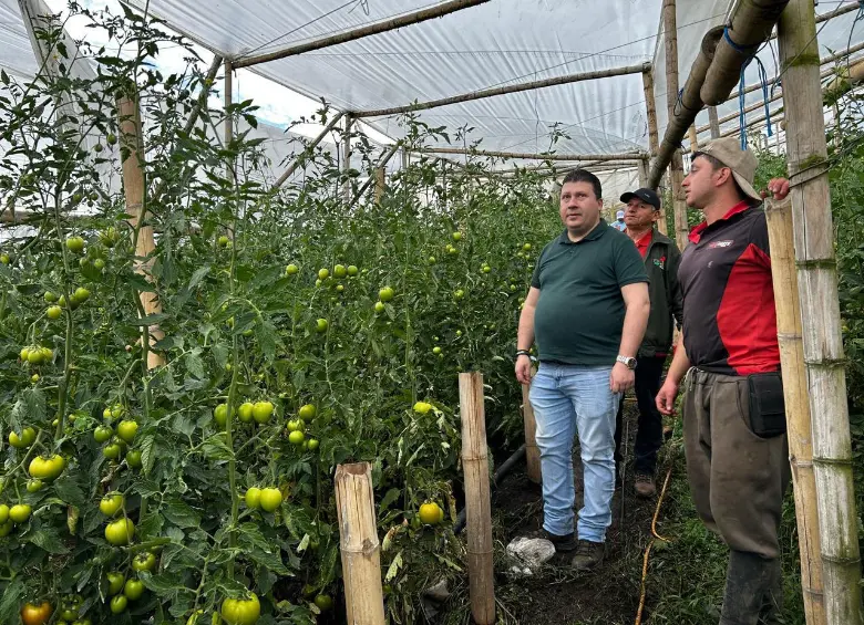 La Alcaldía de Guarne recorrió los cultivos afectados con la comunidad. FOTO: Cortesía Alcaldía de Guarne