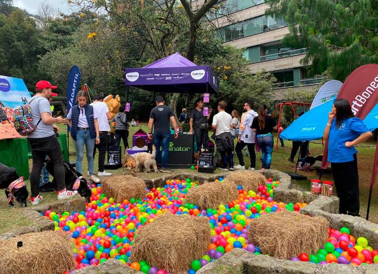 Este domingo 4 de agosto es el día dedicado a las mascotas en el marco de celebración de la Feria de las Flores. FOTO Cortesía