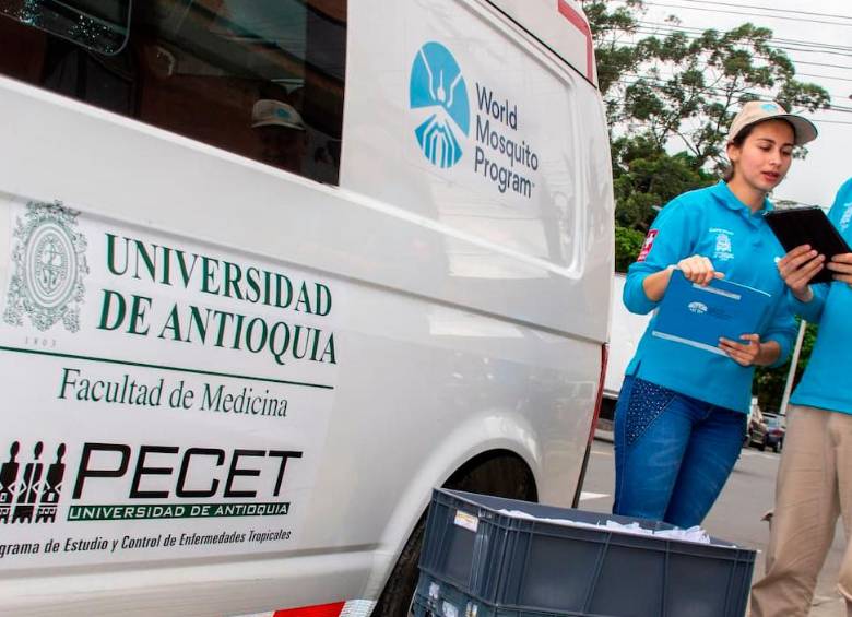 Un equipo de 40 profesionales del Pecet será el encargado de “cultivar” los mosquitos “buenos” al Bajo Cauca y Nordeste para erradicar el dengue. FOTO: CORTESÍA UDEA