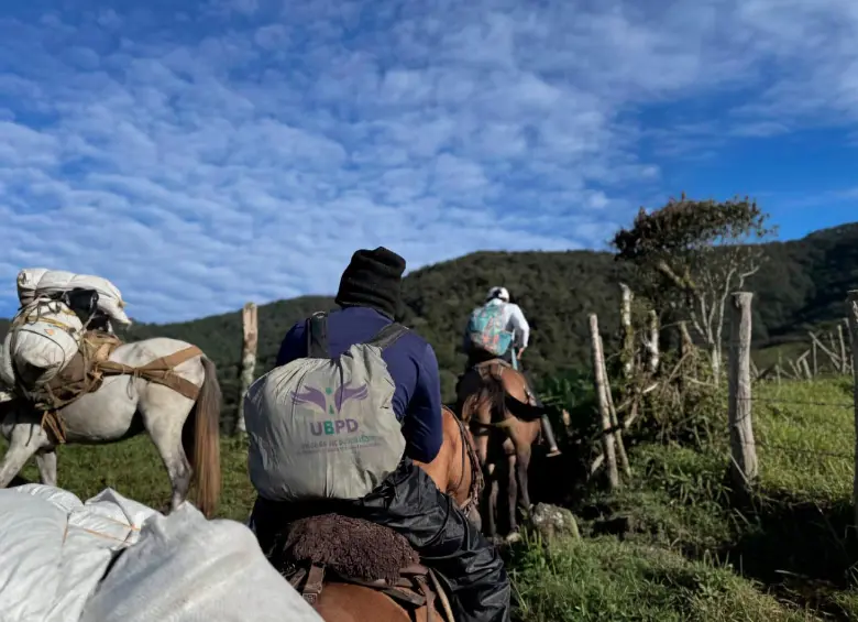 Para llegar hasta el sitio donde estaban los cuerpos fue necesario un largo recorrido, cruzando ríos y montañas. FOTO: CORTESÍA UBPD