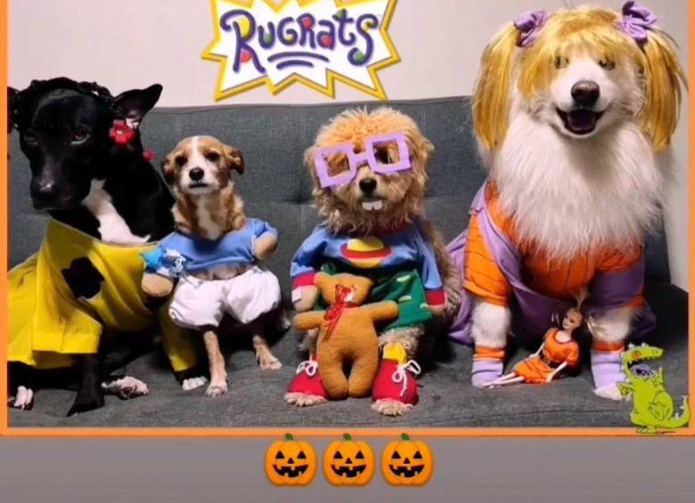 La famosa pandilla de bebés de la popular serie animada de los años 90 cobró vida con estos canes. Foto: redes sociales