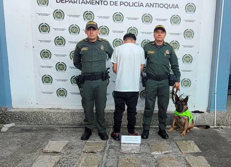 Molly, la perra antinarcóticos del aeropuerto de Rionegro, le dañó el viaje a San Andrés a un traficante de marihuana