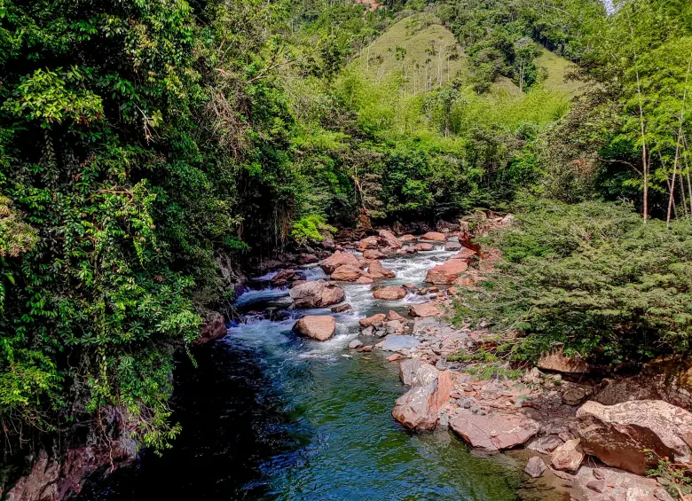 El río Santo Domingo, ubicado en los límites de Cocorná y El Carmen de Viboral, tiene aguas poco profundas y calmadas. FOTO Juan Diego Ortiz