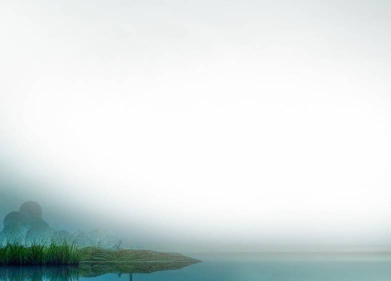La memoria del agua