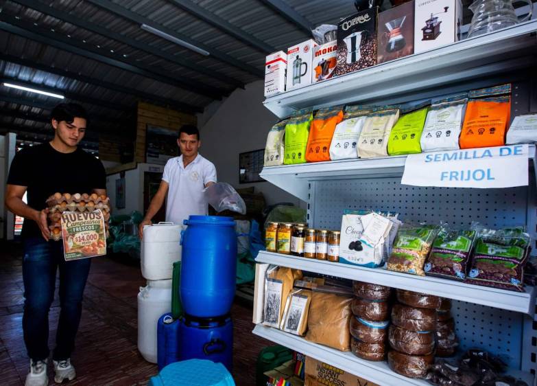 El procesamiento del café, desde la cosecha hasta el secado del grano, hace parte del trabajo diario de las familias campesinas de la región. Foto: Julio César Herrera