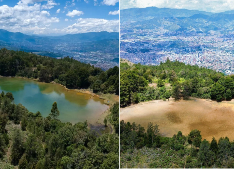 De los cerca de 300 metros cúbicos que alojaba esta laguna, solo quedan vestigios de humedad. La tierra está abierta y, por las altas temperaturas que ha experimentado la ciudad, ni siquiera se ha alcanzado a formar fango: solo queda una polvareda de aridez. Foto: Manuel Saldarriaga y Cortesía. 