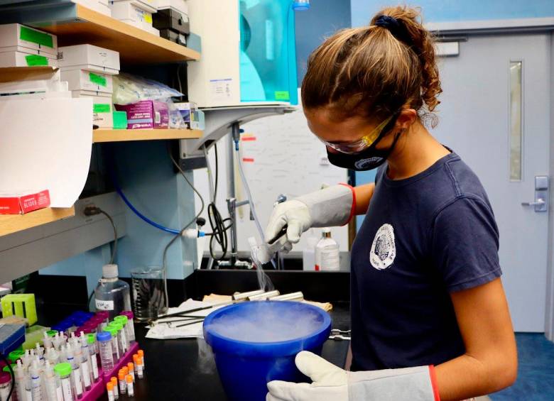 La investigación de la Universidad de Miami logró reintroducir corales cuya esperma había estado congelada. FOTO<b> Agencia EFE</b>
