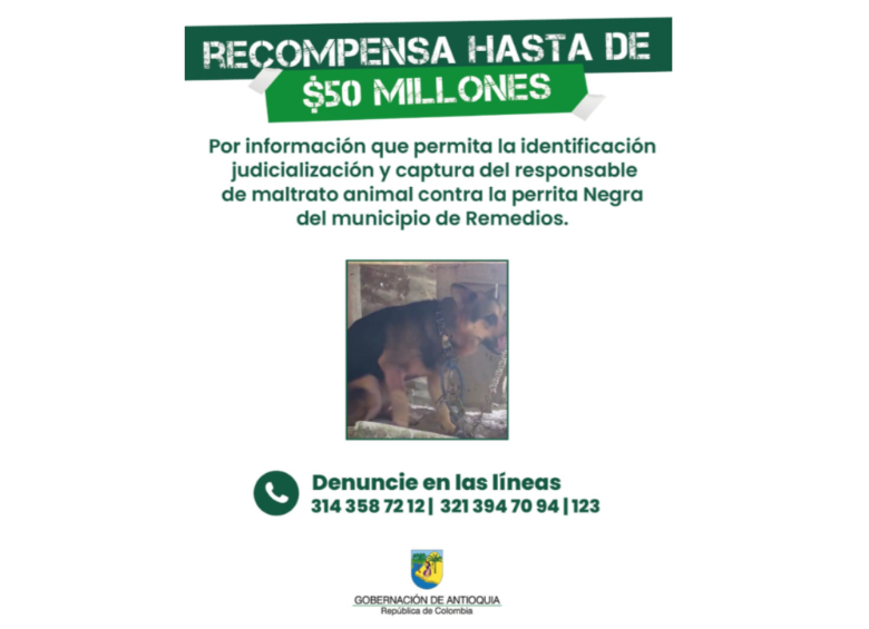 Cartel de recompensa de la Gobernación de Antioquia. Foto: cortesía.