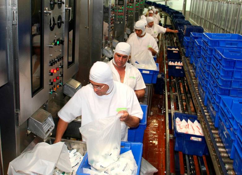 Colanta recolectó el año pasado 866,8 millones de litros de leche, con un incremento del 4,2% frente al año anterior. FOTO EL COLOMBIANO