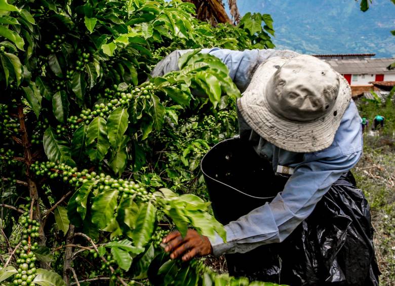 De cada $100 que se generan en Colombia, los paisas aportan $15,2: récord tras 30 años 