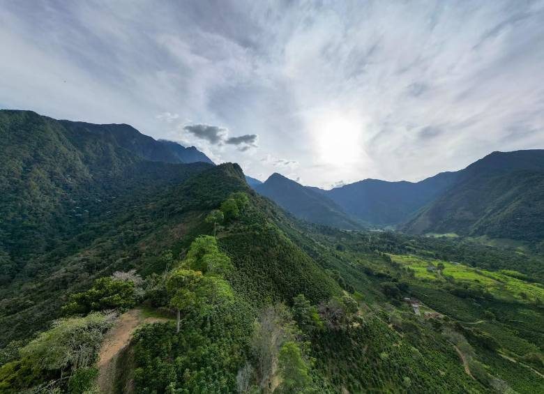 Cerro Plateado, en Salgar, suroeste antioqueño, tendrá el acceso restringido por un año. Foto: Corantioquia.