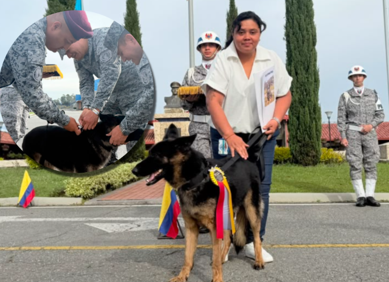 Tras culminar su servicio, fue entregada a una familia que cumplió con los requisitos para adoptarla. Foto: cortesía Fuerza Aeroespacial Colombiana.