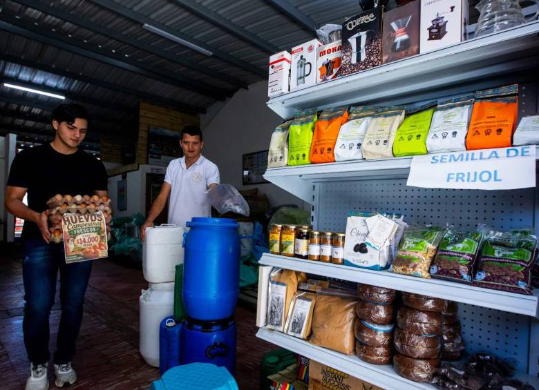 El procesamiento del café, desde la cosecha hasta el secado del grano, hace parte del trabajo diario de las familias campesinas de la región. Foto: Julio César Herrera
