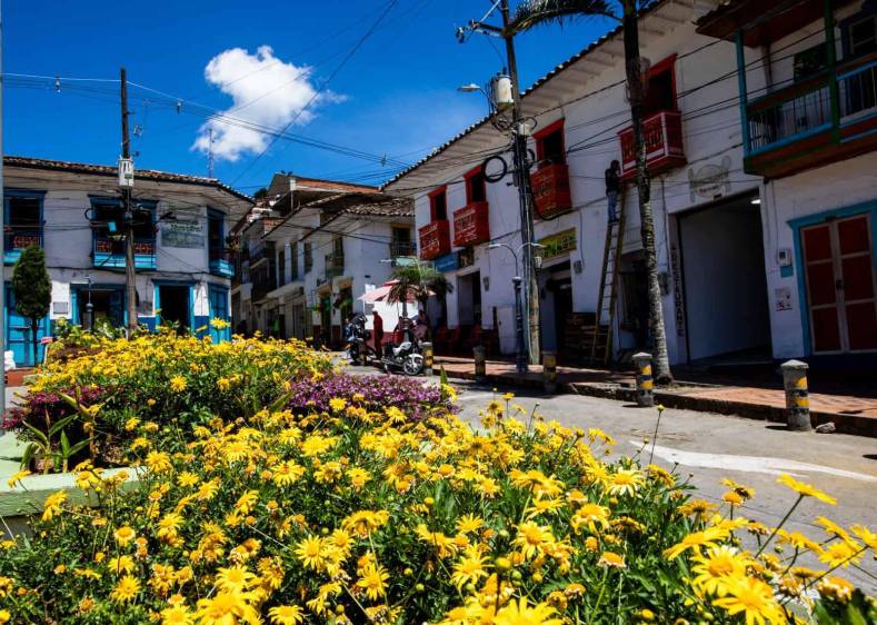 El café se convirtió en una de las principales apuestas productivas para reconstruir el tejido social en municipios afectados por el conflicto armado. Foto: Julio César Herrera