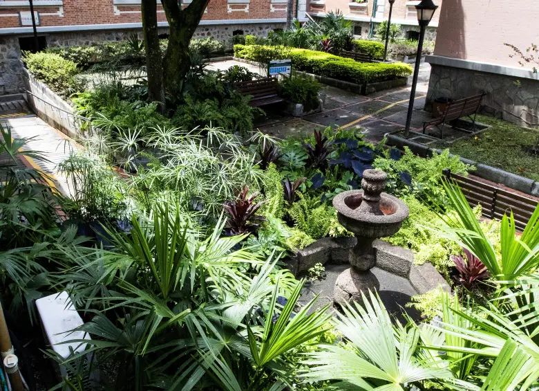 Algunos de los jardines al interior del centro médico del centro de la ciudad. Foto: Julio César Herrera Echeverri