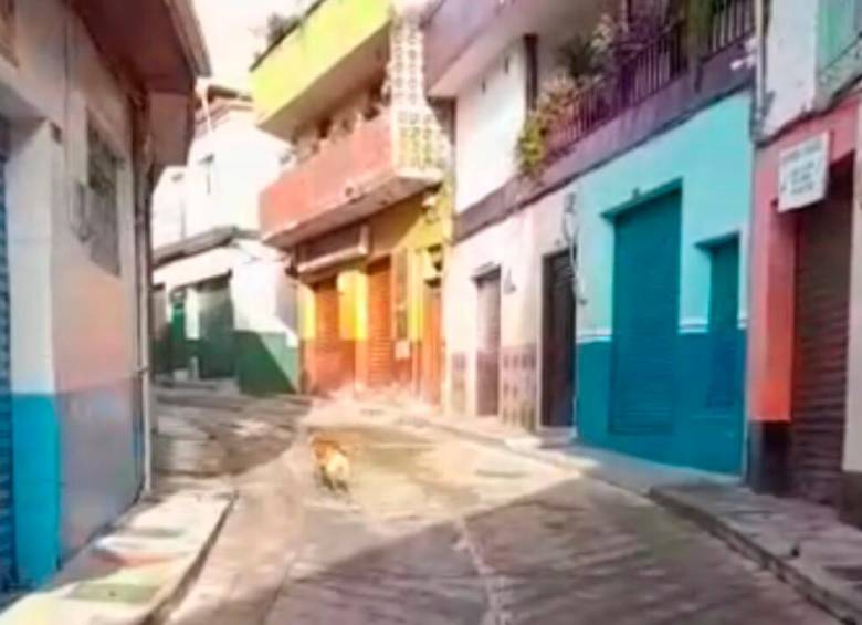 Nariño está ubicado en el Oriente antioqueño. Allí opera el Clan del Oriente. Foto: Cortesía