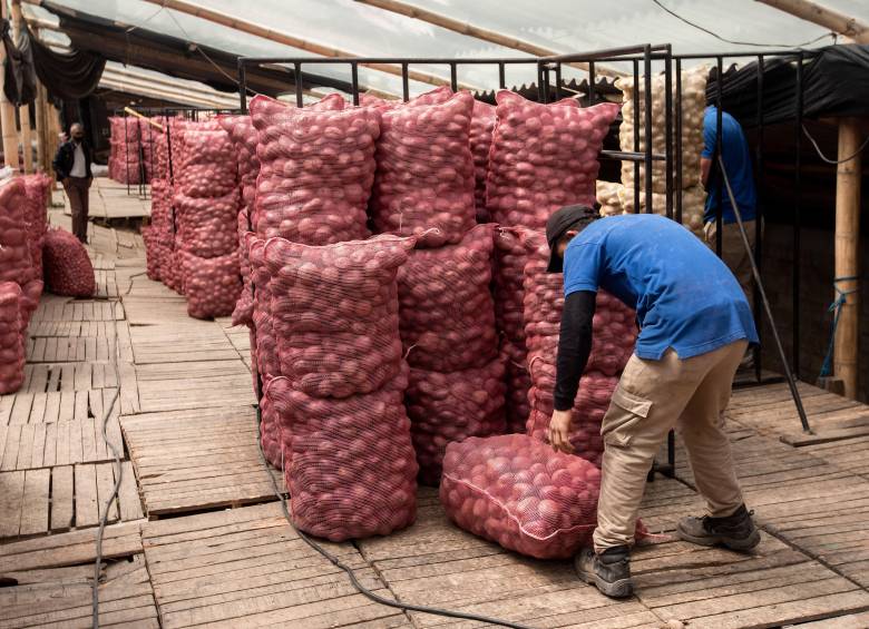 La reducción del área cultivada y las condiciones climáticas están entre los factores que explican el menor abastecimiento de papa. FOTO CAMILO SUÁREZ