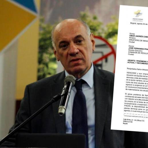 José Camilo Manzur, director ejecutivo de Asocodis, fue quien envió la carta al MinEnergía y la Creg alertando la difícil situación de las comercializadoras de energía en Colombia. FOTO COLPRENSA