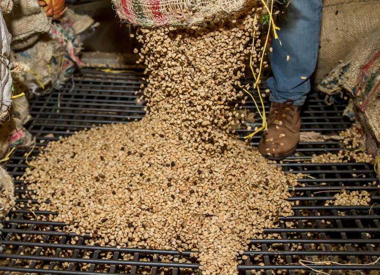 Huila, Antioquia y Tolima, los tres principales productores del país, afrontan este nuevo ciclo con alertas en distintas zonas. Foto: Julio Herrera