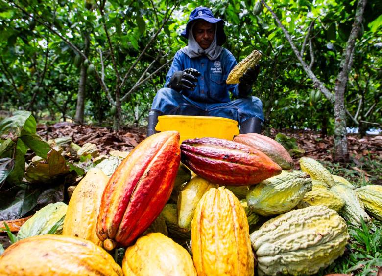 La cara agria del negocio más dulce: precio del chocolate se disparó más del 60% en Colombia 