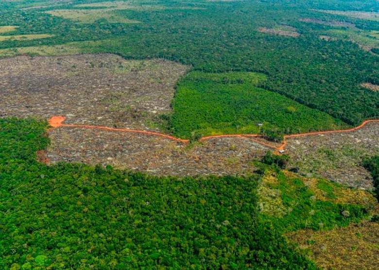 El Parque Chiribiquete está prioridazo por el Gobierno como uno de los focos de deforestación activos. FOTO CORTESÍA