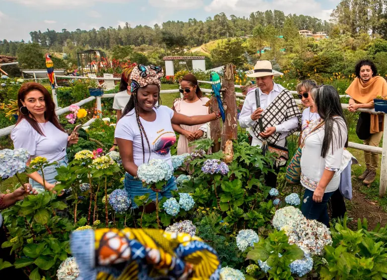 Las fincas silleteras de Santa Elena ofrecen recorridos guiados para conocer el origen de la tradición, la elaboración de las silletas y la vida cotidiana de sus portadores. FOTO Manuel Saldarriaga