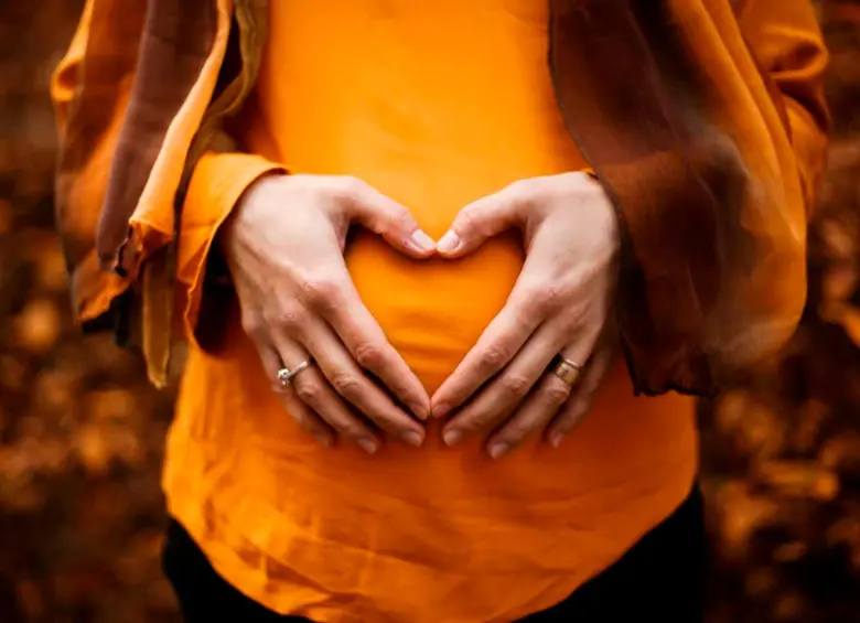 l primer trimestre es un periodo crítico: durante esta etapa comienzan a formarse los órganos del bebé y la placenta. Foto Agencia Sinc