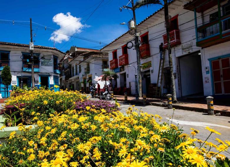 El café se convirtió en una de las principales apuestas productivas para reconstruir el tejido social en municipios afectados por el conflicto armado. Foto: Julio César Herrera