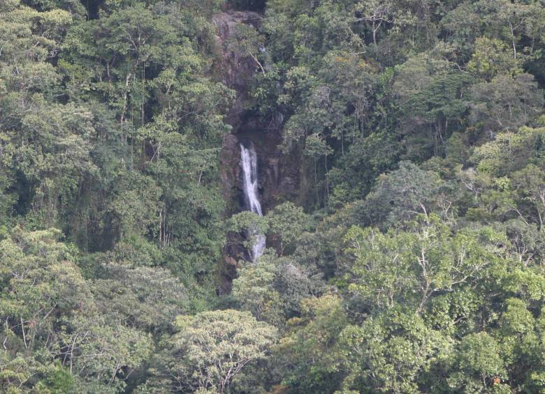 Así luce el sector del Salto del Ángel en Envigado donde se perdieron los senderistas. FOTO: JUAN ANTONIO SÁNCHEZ OCAMPO