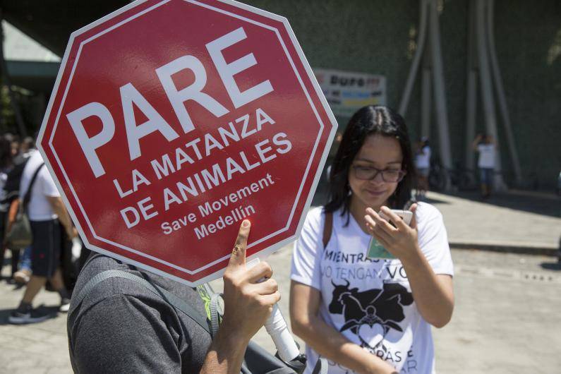 Los colectivos animalistas de El Santuario buscan que se frenen los recientes hechos de violencia contra los animales. FOTO: ARCHIVO