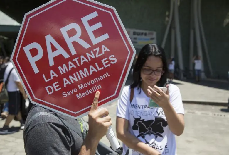 Los colectivos animalistas de El Santuario buscan que se frenen los recientes hechos de violencia contra los animales. FOTO: ARCHIVO