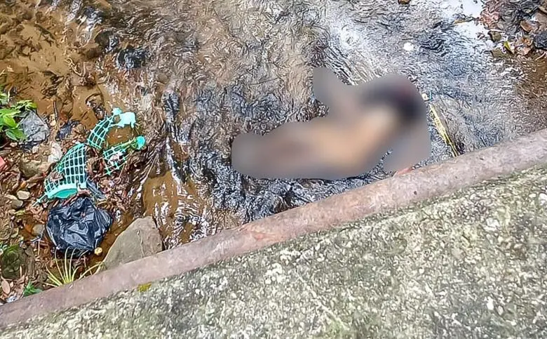 El cuerpo del hombre decapitado apareció en el cauce de la quebrada Villanueva, a menos de una hora de Medellín. La imagen fue difuminada. FOTO: CORTESÍA