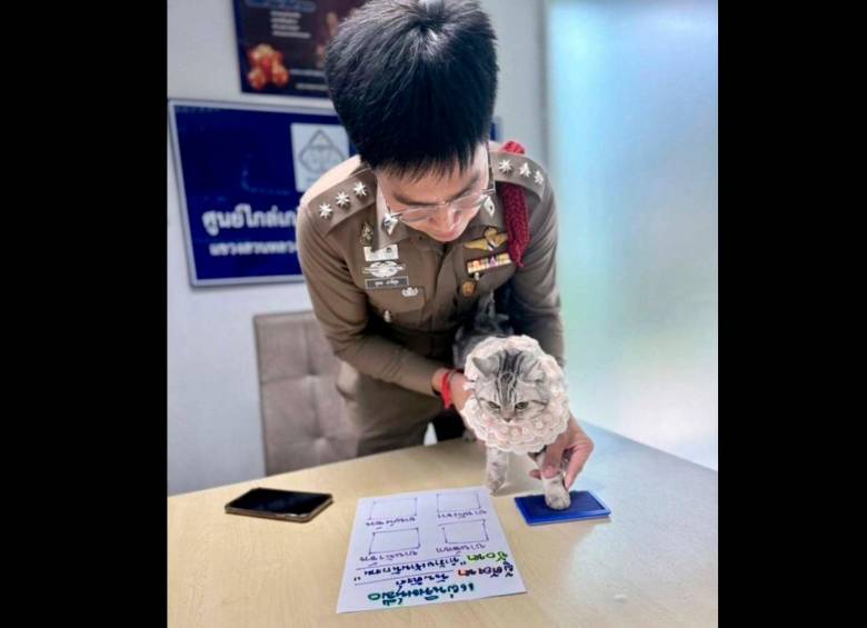 Esta es la historia de la gatita que fue “arrestada” por la Policía de Tailandia