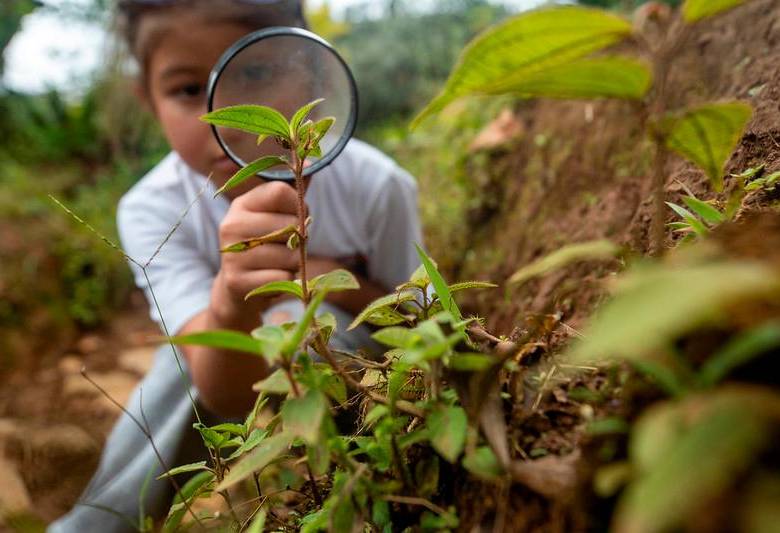 Los niños de la provincia Cartama durante una actividad de Ciencia entre Montañas. FOTO: CORTESÍA